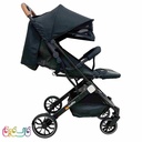 کالسکه با سایبان قابل تنظیم
