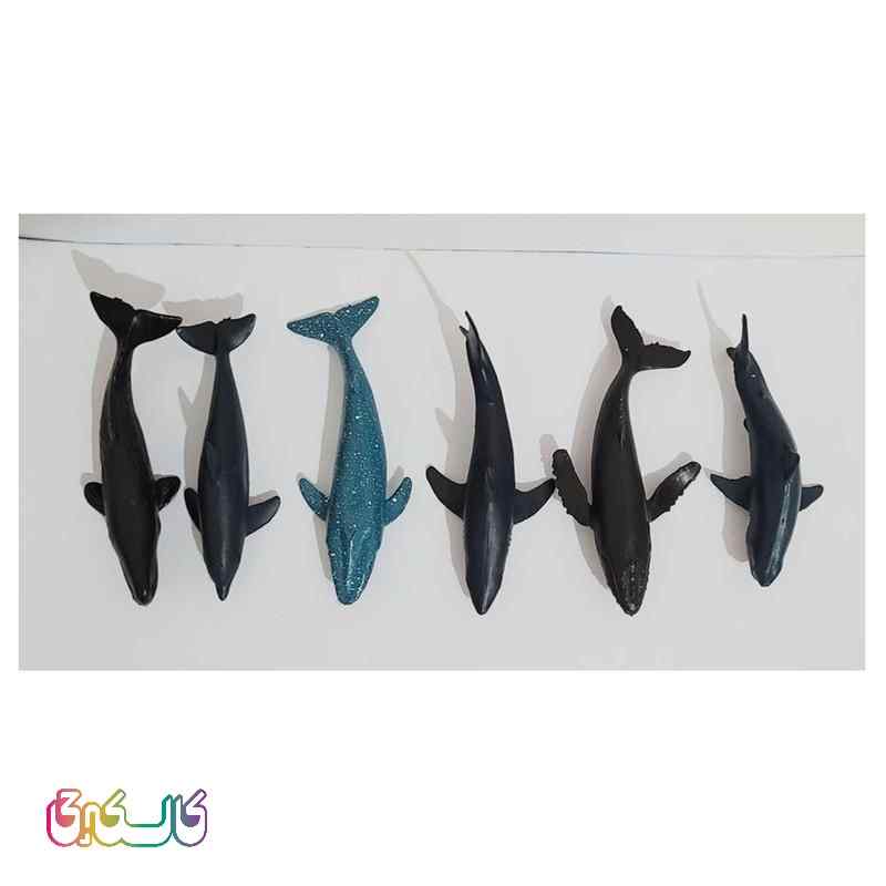 فیگور ماهی ها