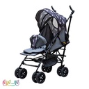 کالسکه سبک دلیجان