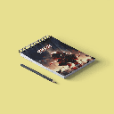 دفترچه یادداشت اسپایدر من