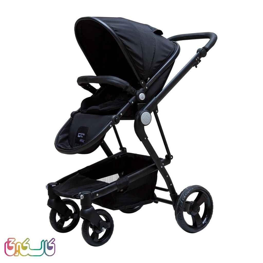 کالسکه دلیجان مشکی