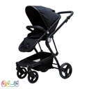 کالسکه دلیجان مشکی