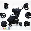 کالسکه Max دلیجان