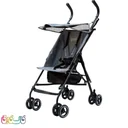 کالسکه عصایی دلیجان