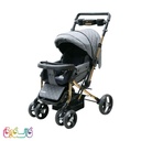 کالسکه بنیتا پرو بدنه طلایی