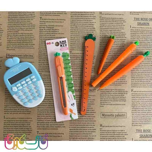 بسته لوازم تحریر مدل هویج تپلی مجموعه 6 عددی